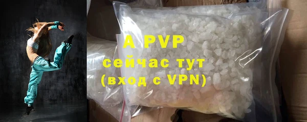 хмурый Ладушкин