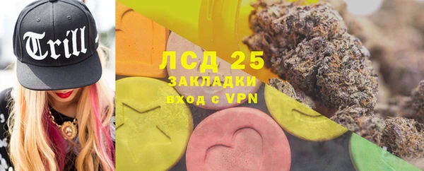 хмурый Ладушкин