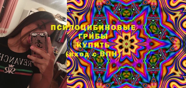 хмурый Ладушкин