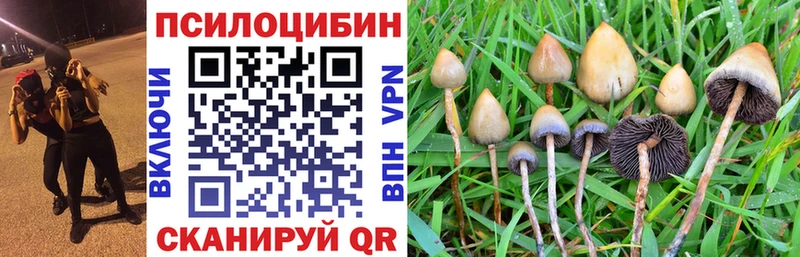Псилоцибиновые грибы мицелий  Мостовской 
